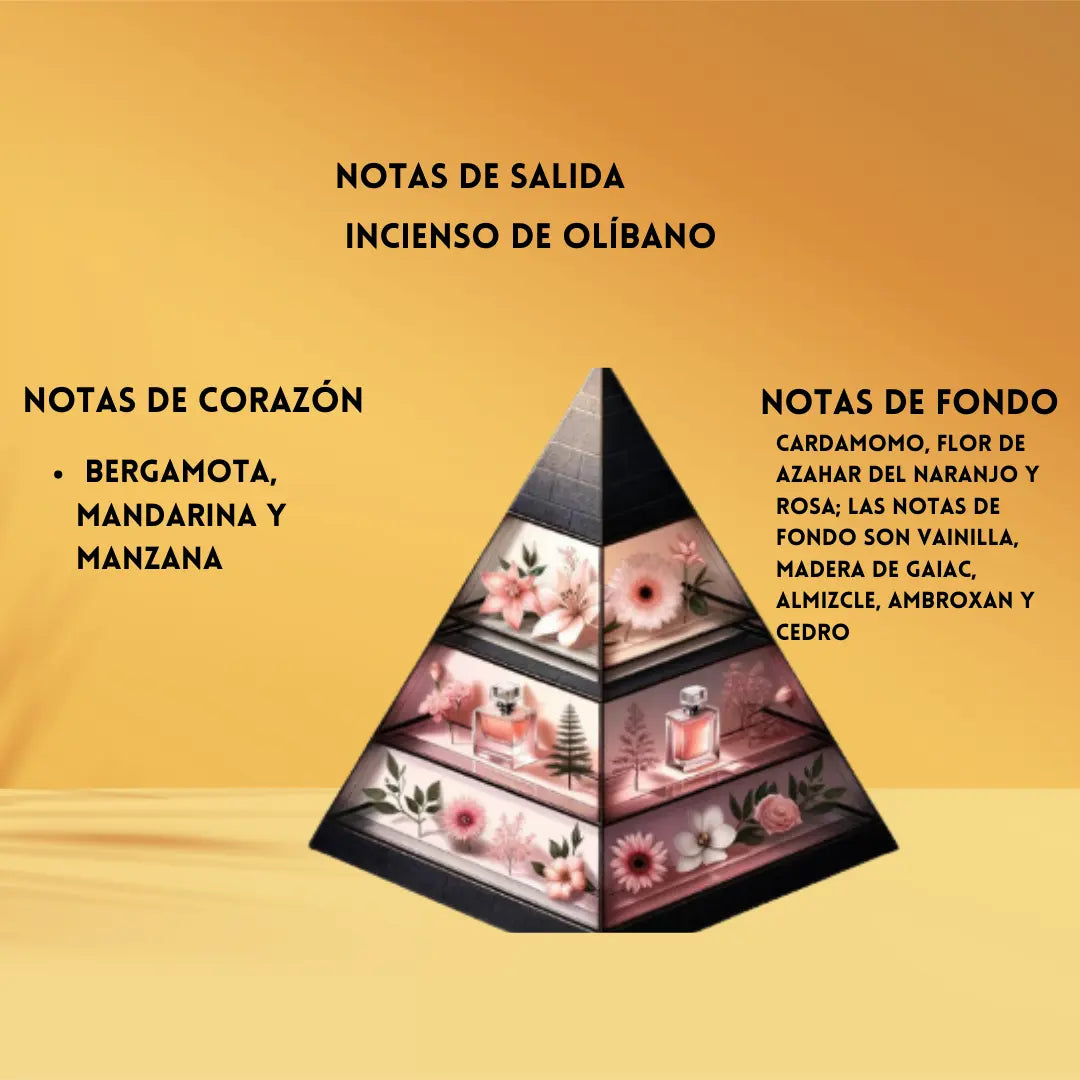Art of nature II | Perfume Árabe Unisex | Oriental, Amaderado y Especiado – Eau de Parfum