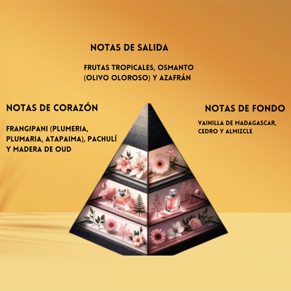 Areebah | Extracto de Perfume Unisex | Riiffs
